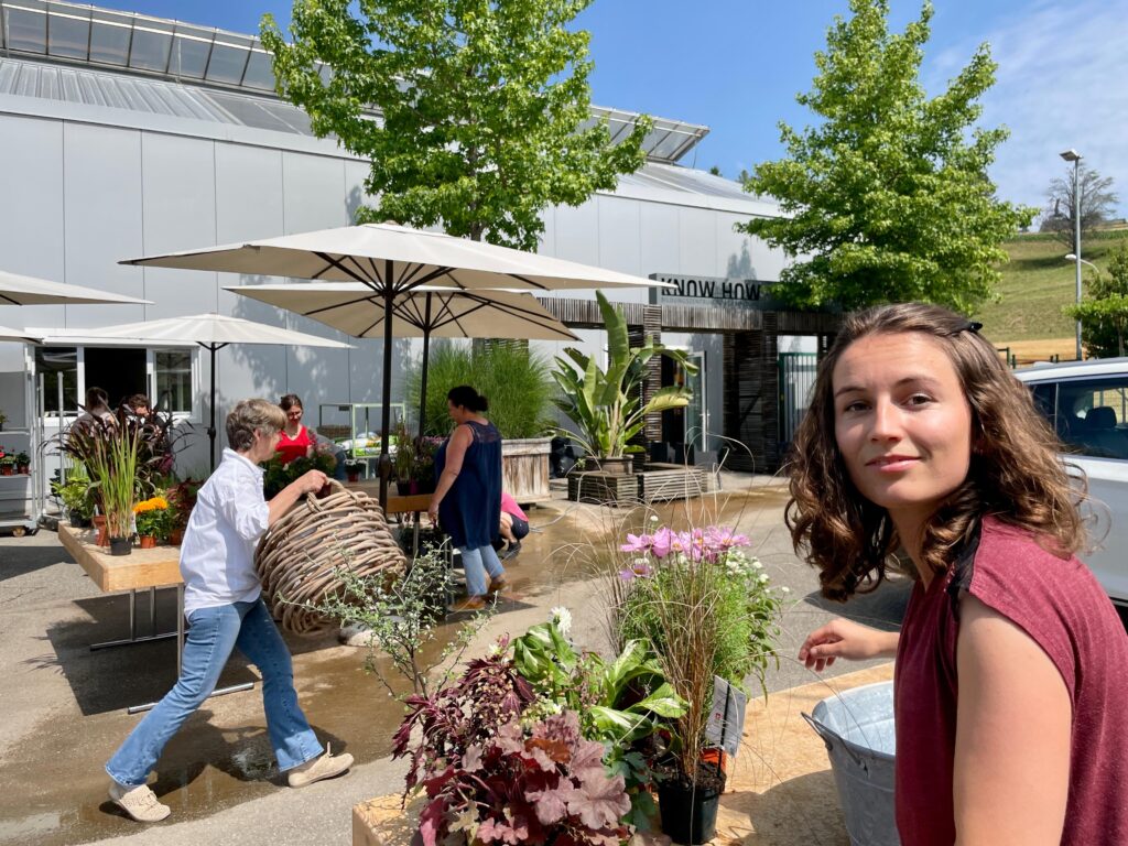 Ausbildung zweiter Bildungsweg Florist Österreich